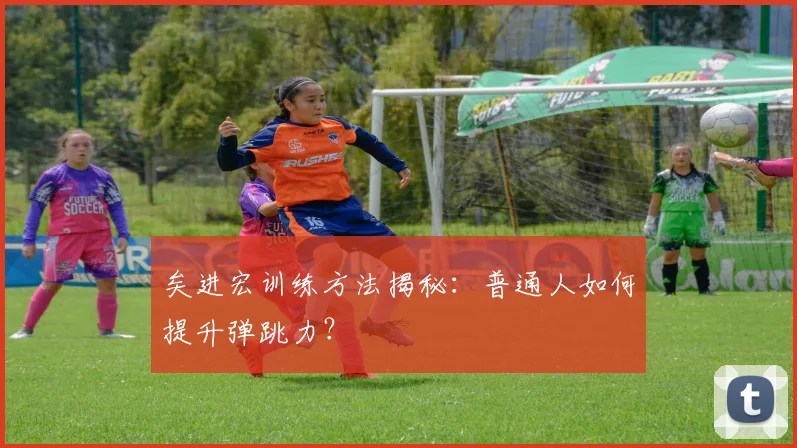矣进宏训练方法揭秘：普通人如何提升弹跳力？